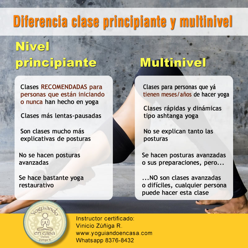 clases principiantes vs mltinivel
